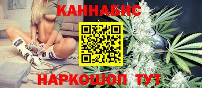 прущие грибы Можга