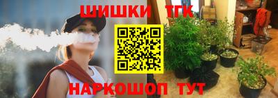 прущие крисы Моздок